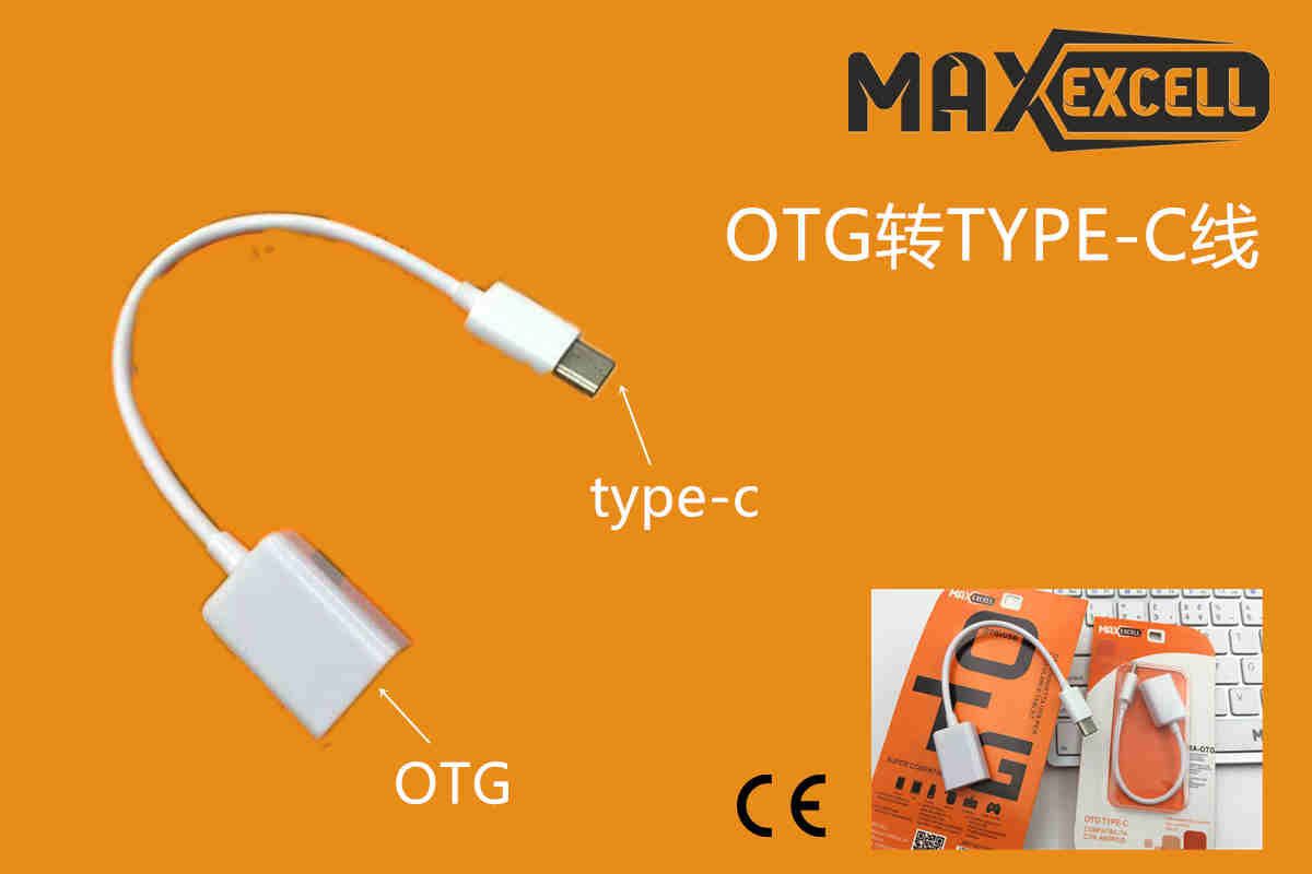 Adattatore OTG USB-C