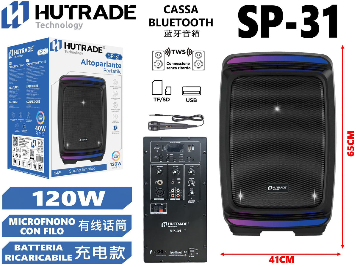 SP-31 CASSA BLUETOOTH CON MICROFONO DA 120W