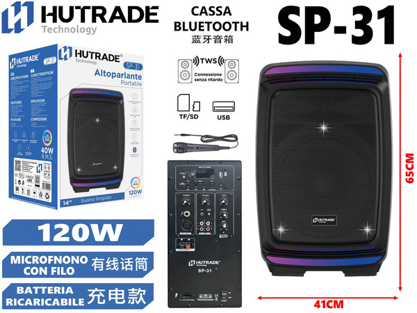 SP-31 CASSA BLUETOOTH CON MICROFONO DA 120W