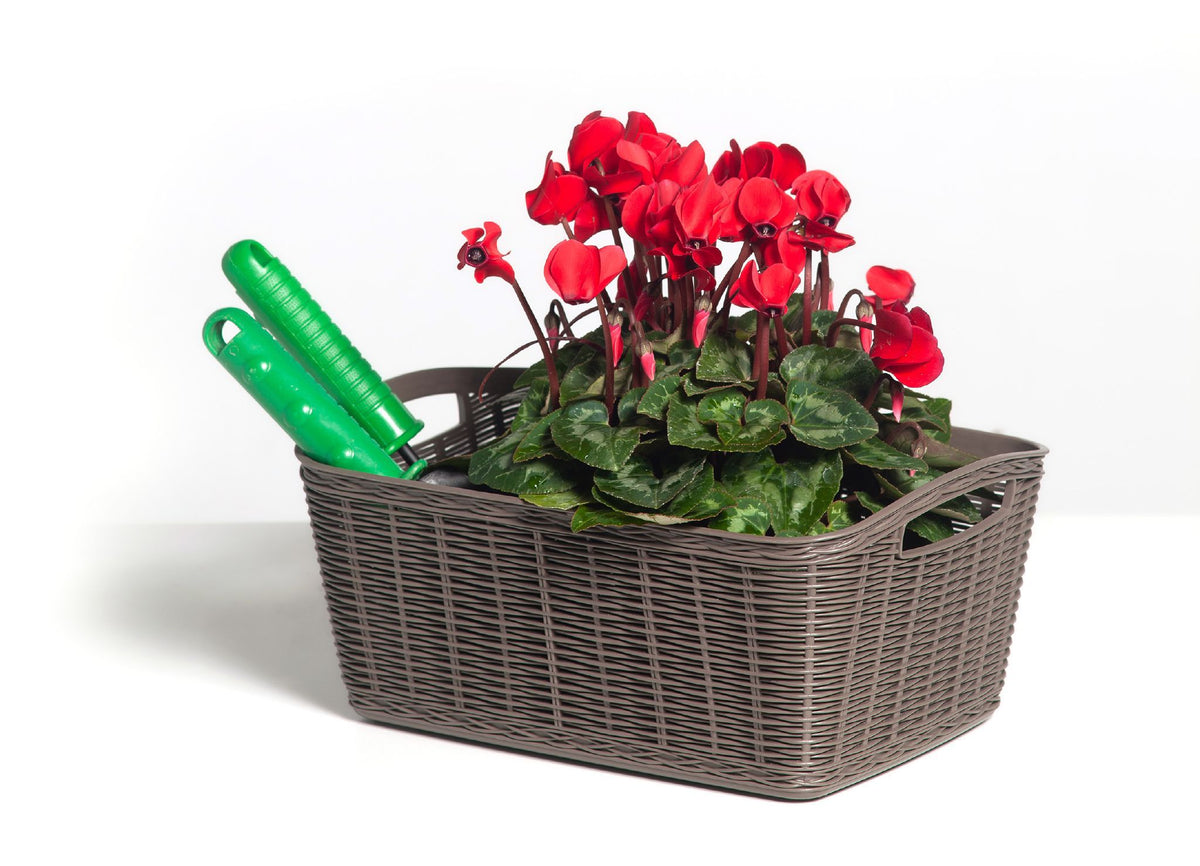Cesto portaoggetti – 31X21.5XH13CM – 024296