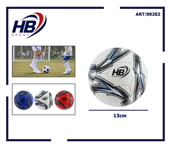 Pallone da calcio