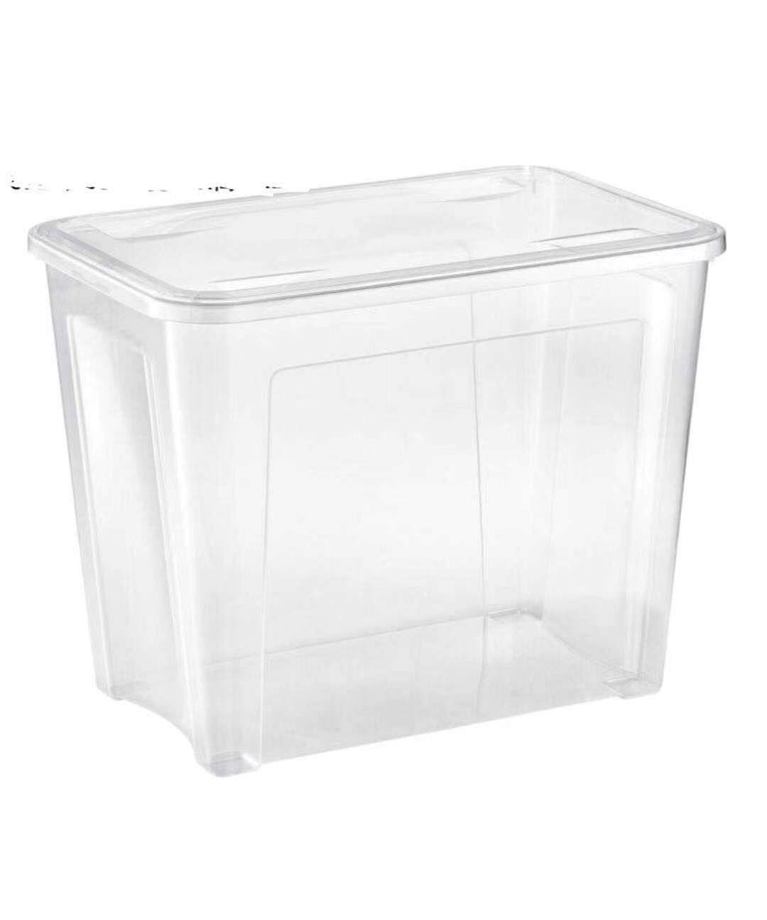 Box portaoggetti – 30L – 011904