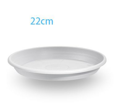 Sottovaso – 001955