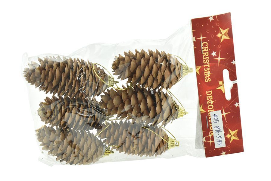 Set appendini 6 pigne naturale