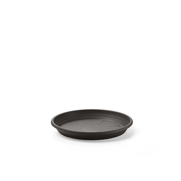 Sottovaso – 001972