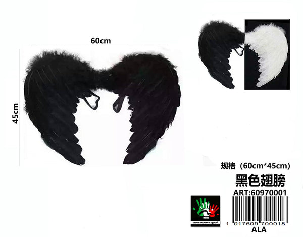 ALA 60 x 45