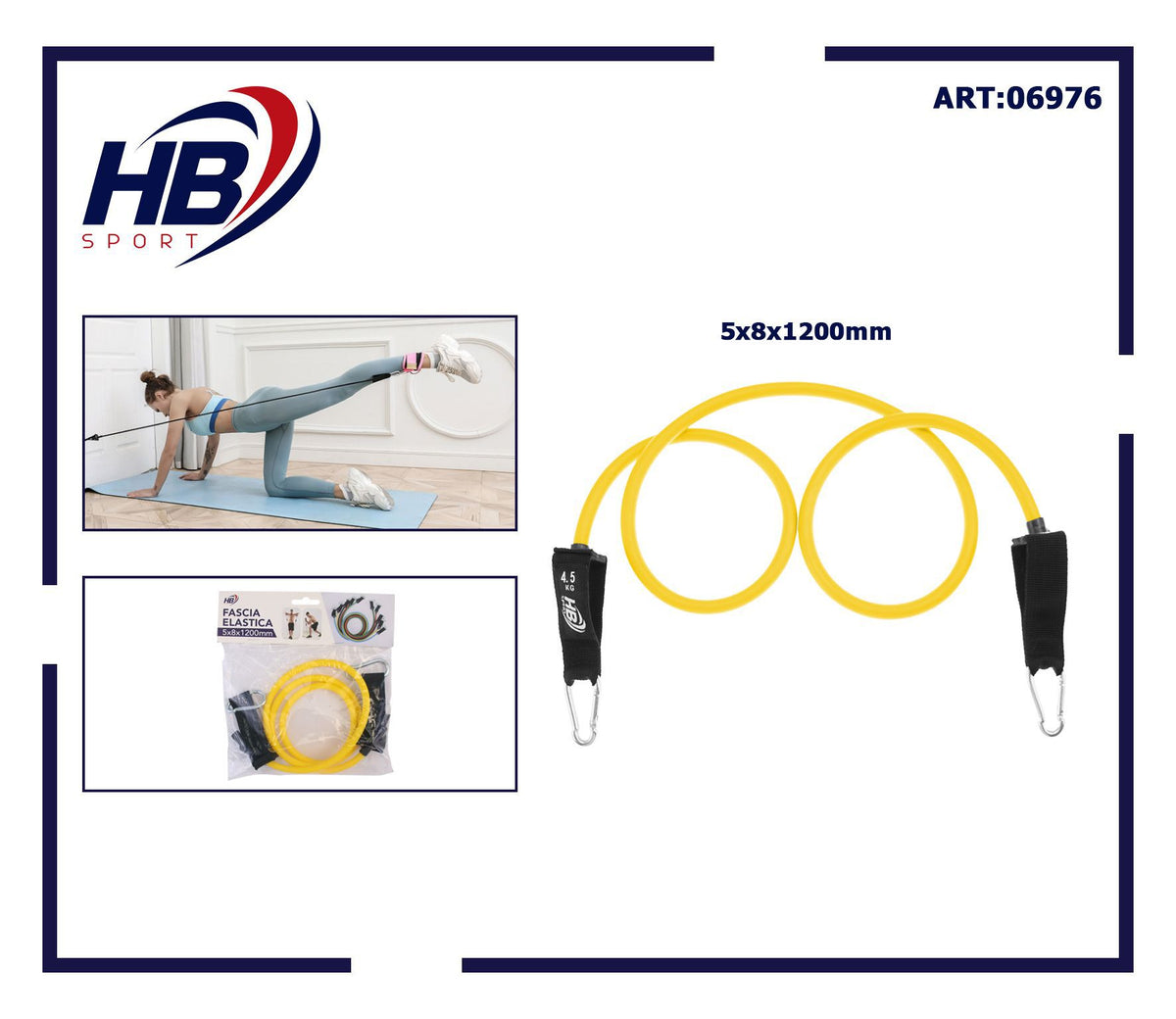 FASCIA ELASTICA