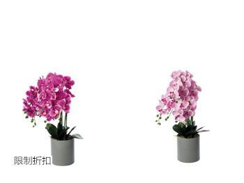 Piante artificiali in vaso – art. 703162