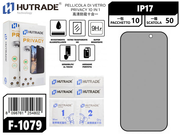 F-1079 PELLICOLA DI VETRO PRIVACY 10IN1 IP17