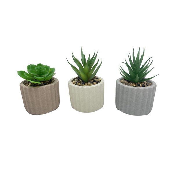 Pianta decorativa verde in vaso di ceramica, 13 cm