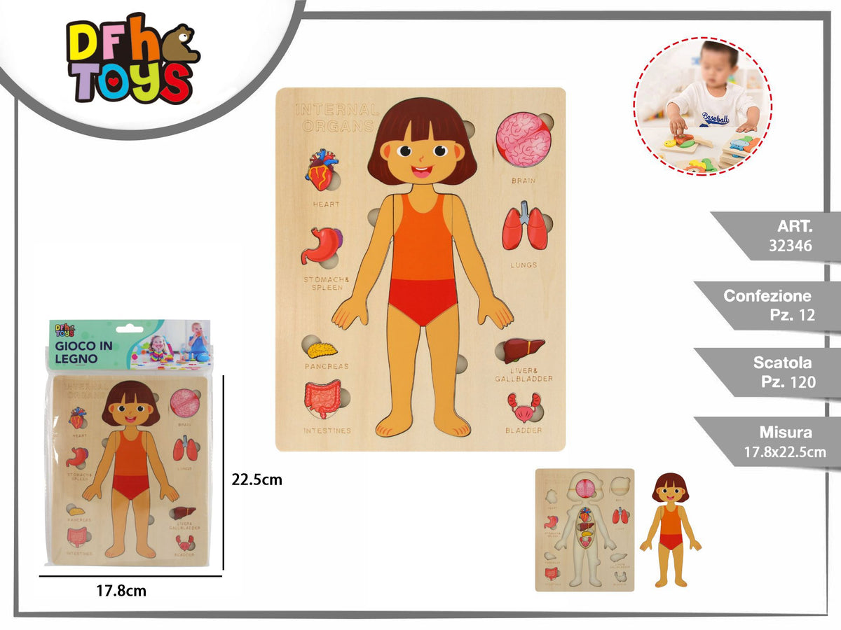 Puzzle in legno del corpo umano con figura femminile