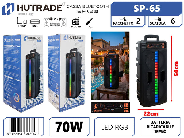 SP-65 CASSA BLUETOOTH CON FM 70W