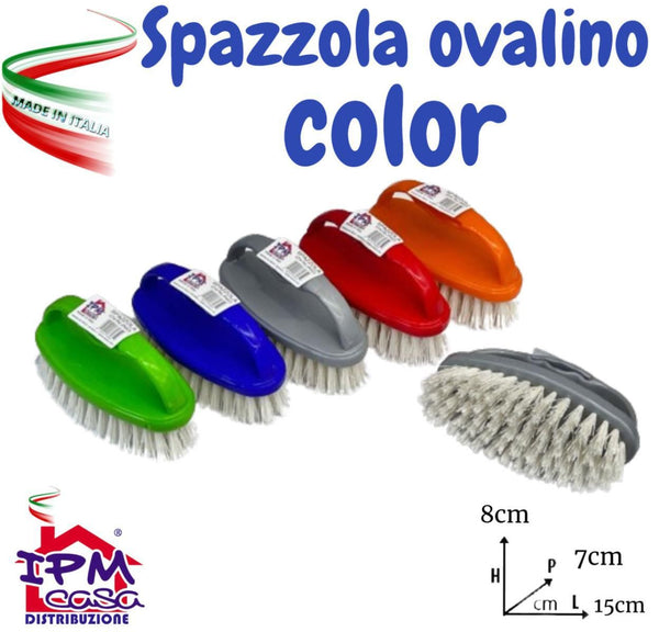 IMP SPAZZOLA BUCATO OVALE COLORI ASS.