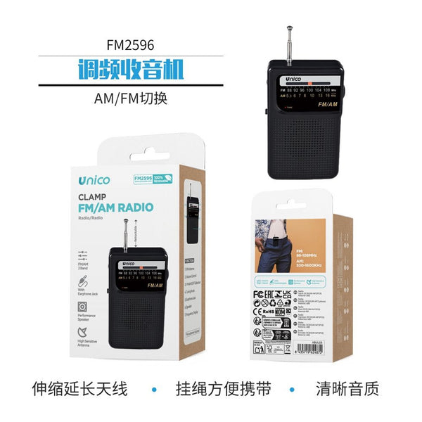 FM2596 Radio FM