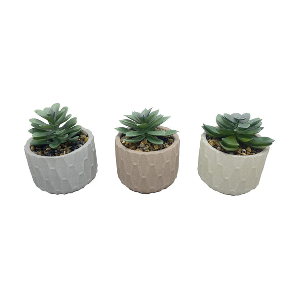 Pianta grassa artificiale in vaso di ceramica 8 × 8 × 12 cm
