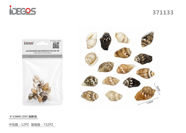 Conchiglie decorative naturali
