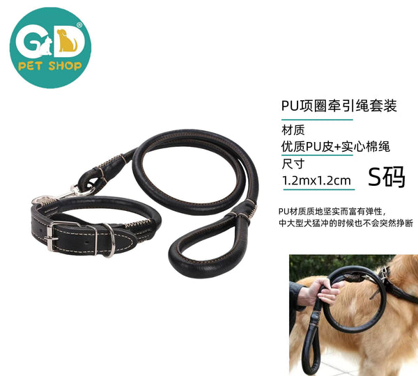 Set collare e guinzaglio in PU per cani
