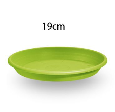 VSECA SOTTOVASO 19CM VERDE ANICE