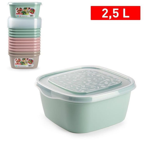 CONTENITORE 2.5L 21.5X21X9CM