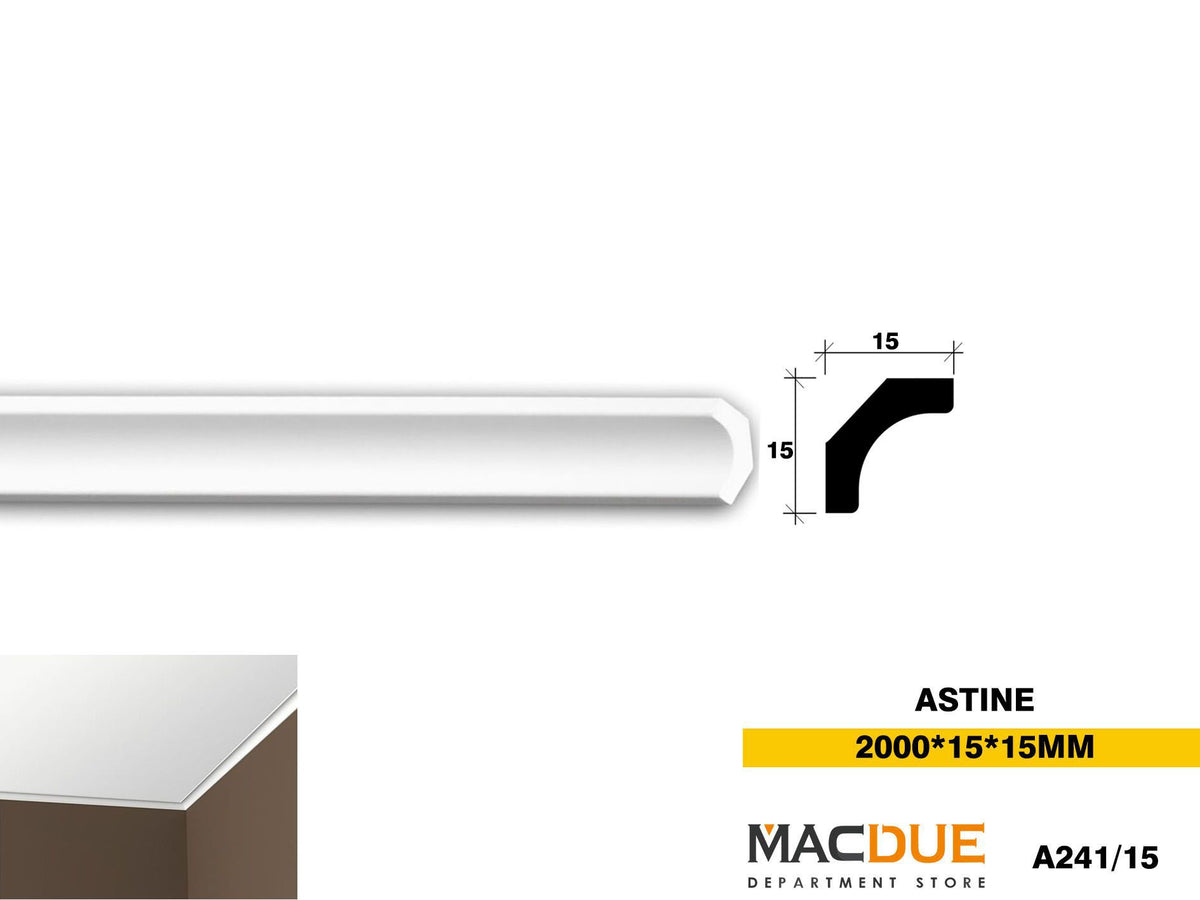 ASTINE A241-15
