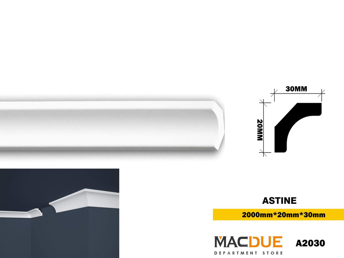 ASTINE A2030