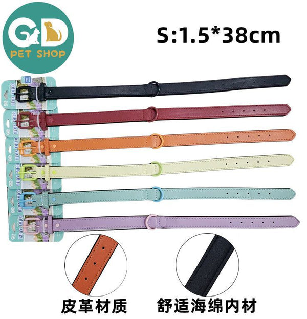 Collare in pelle con fibbia colorata