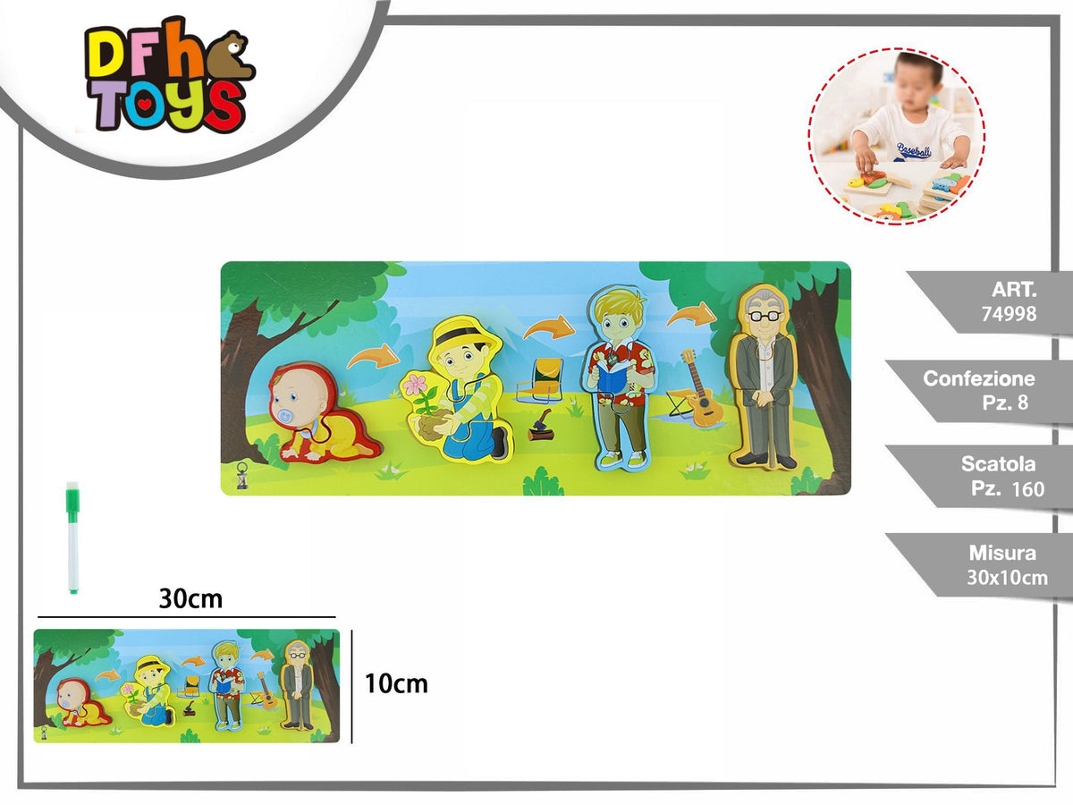 Puzzle in legno ciclo della vita maschile 30 × 10 cm