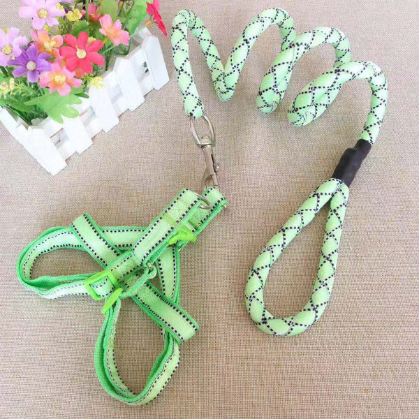 Abbigliamento per animali – Guinzaglio+Pettorina1.5cm*120cm