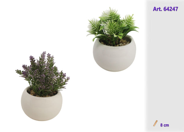Pianta decorativa in vasetto bianco di ceramica