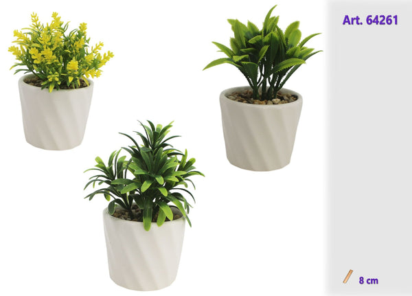 Pianta decorativa in vasetto di ceramica bianca 8 cm